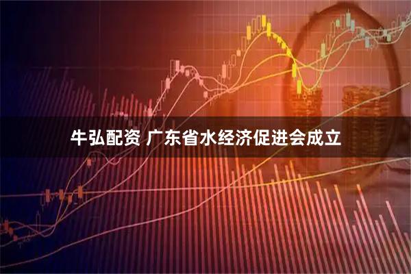牛弘配资 广东省水经济促进会成立