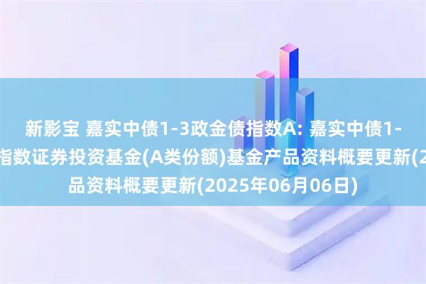新影宝 嘉实中债1-3政金债指数A: 嘉实中债1-3年政策性金融债指数证券投资基金(A类份额)基金产品资料概要更新(2025年06月06日)