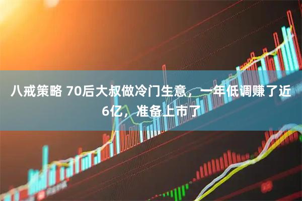 八戒策略 70后大叔做冷门生意，一年低调赚了近6亿，准备上市了