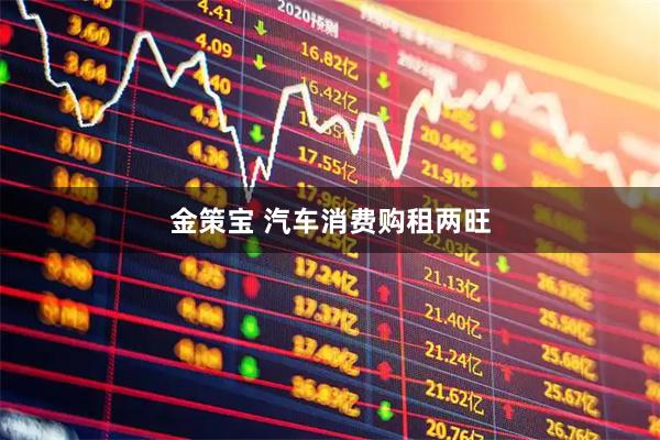金策宝 汽车消费购租两旺