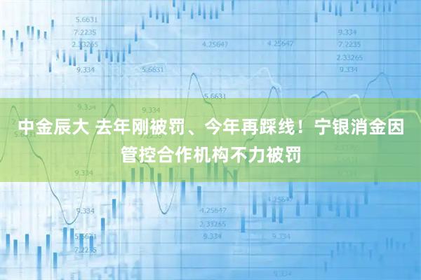 中金辰大 去年刚被罚、今年再踩线！宁银消金因管控合作机构不力被罚